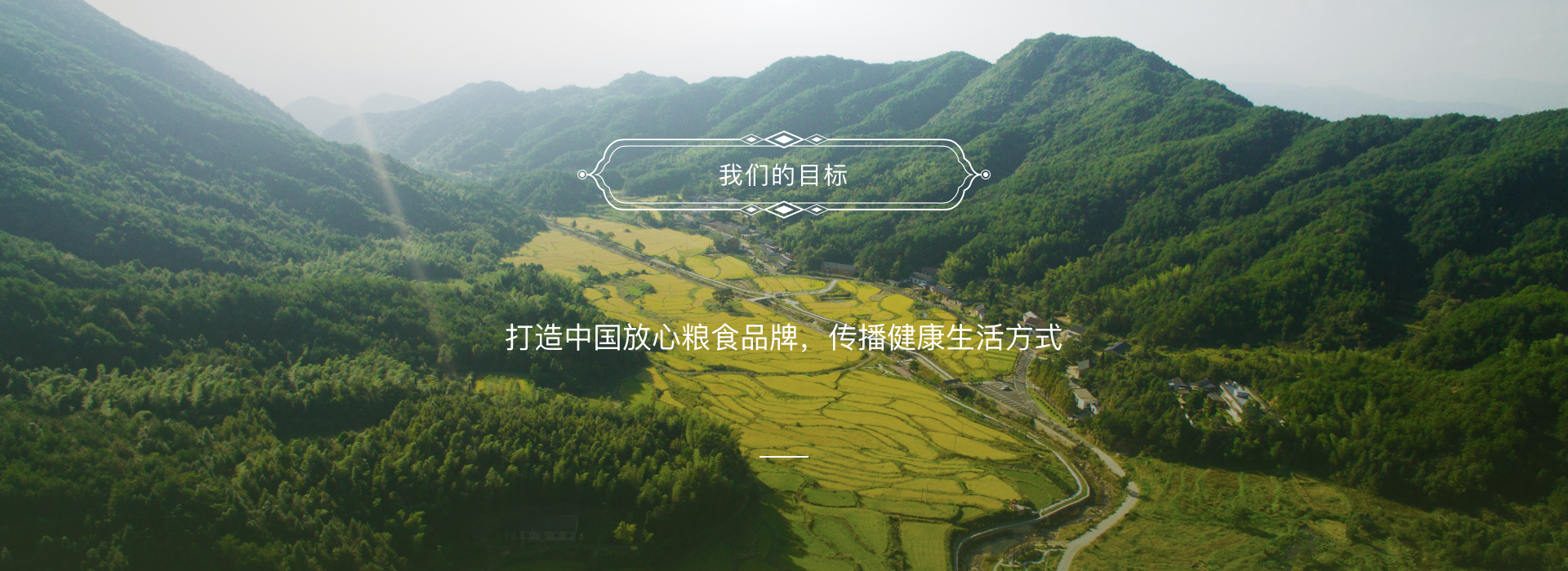 谦益大米,大米
